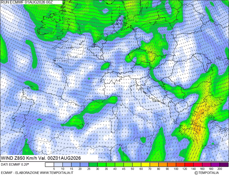 mappa 850 hPa Vento
