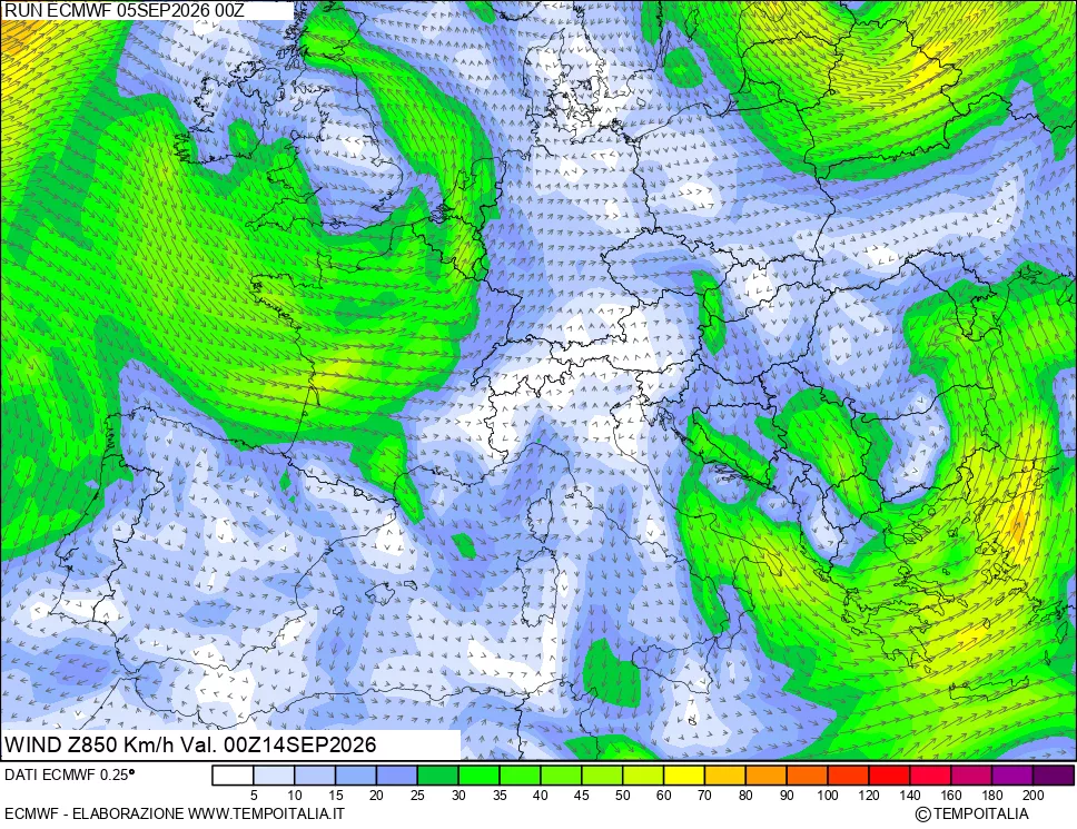 mappa 850 hPa Vento