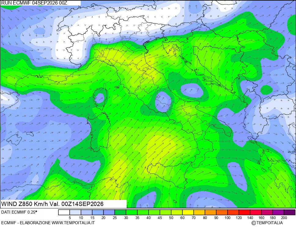 mappa 850 hPa Vento